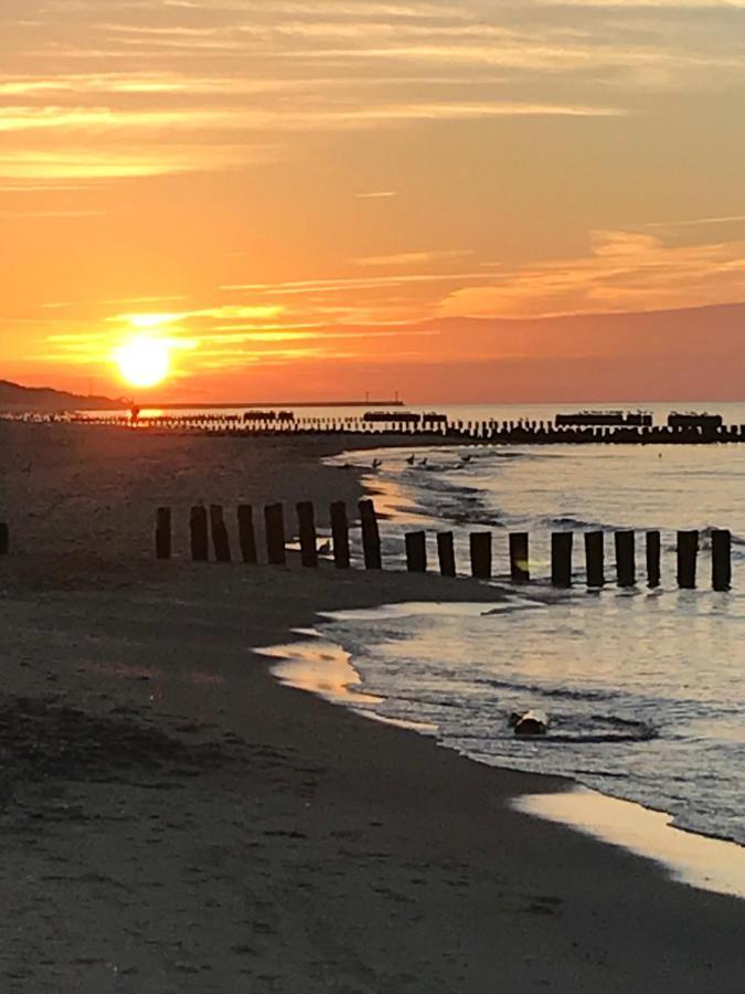 Ive'S Gardenia Seaside Daire Dziwnów Dış mekan fotoğraf