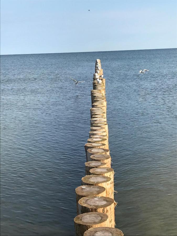 Ive'S Gardenia Seaside Daire Dziwnów Dış mekan fotoğraf