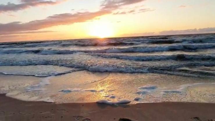 Ive'S Gardenia Seaside Daire Dziwnów Dış mekan fotoğraf