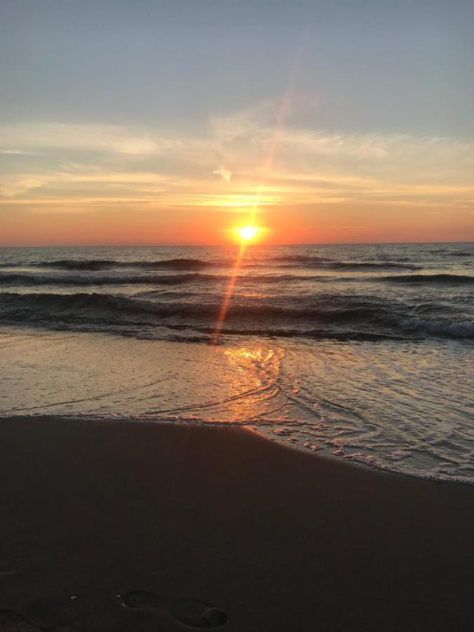 Ive'S Gardenia Seaside Daire Dziwnów Dış mekan fotoğraf