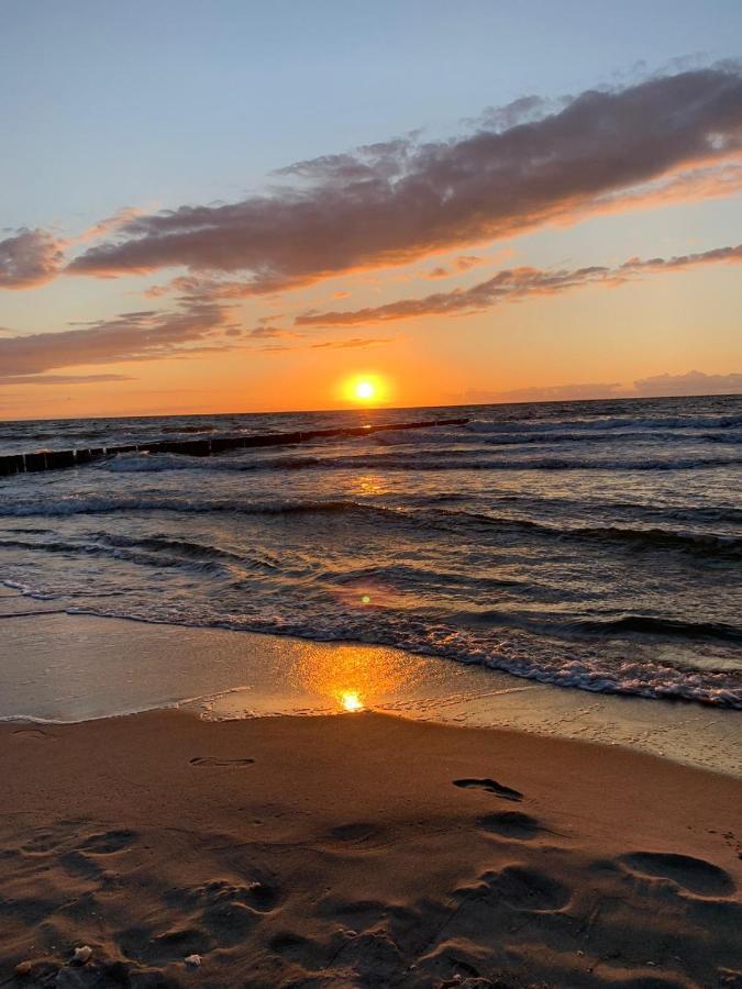 Ive'S Gardenia Seaside Daire Dziwnów Dış mekan fotoğraf