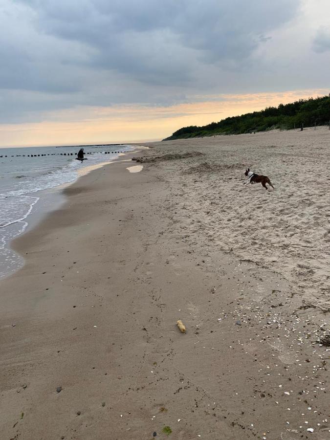 Ive'S Gardenia Seaside Daire Dziwnów Dış mekan fotoğraf