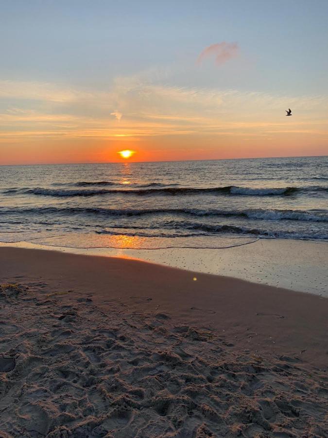 Ive'S Gardenia Seaside Daire Dziwnów Dış mekan fotoğraf